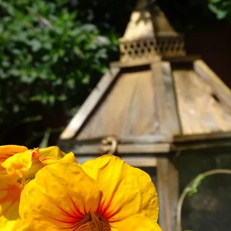 Sonnhof Maison d'hôtes Radstadt